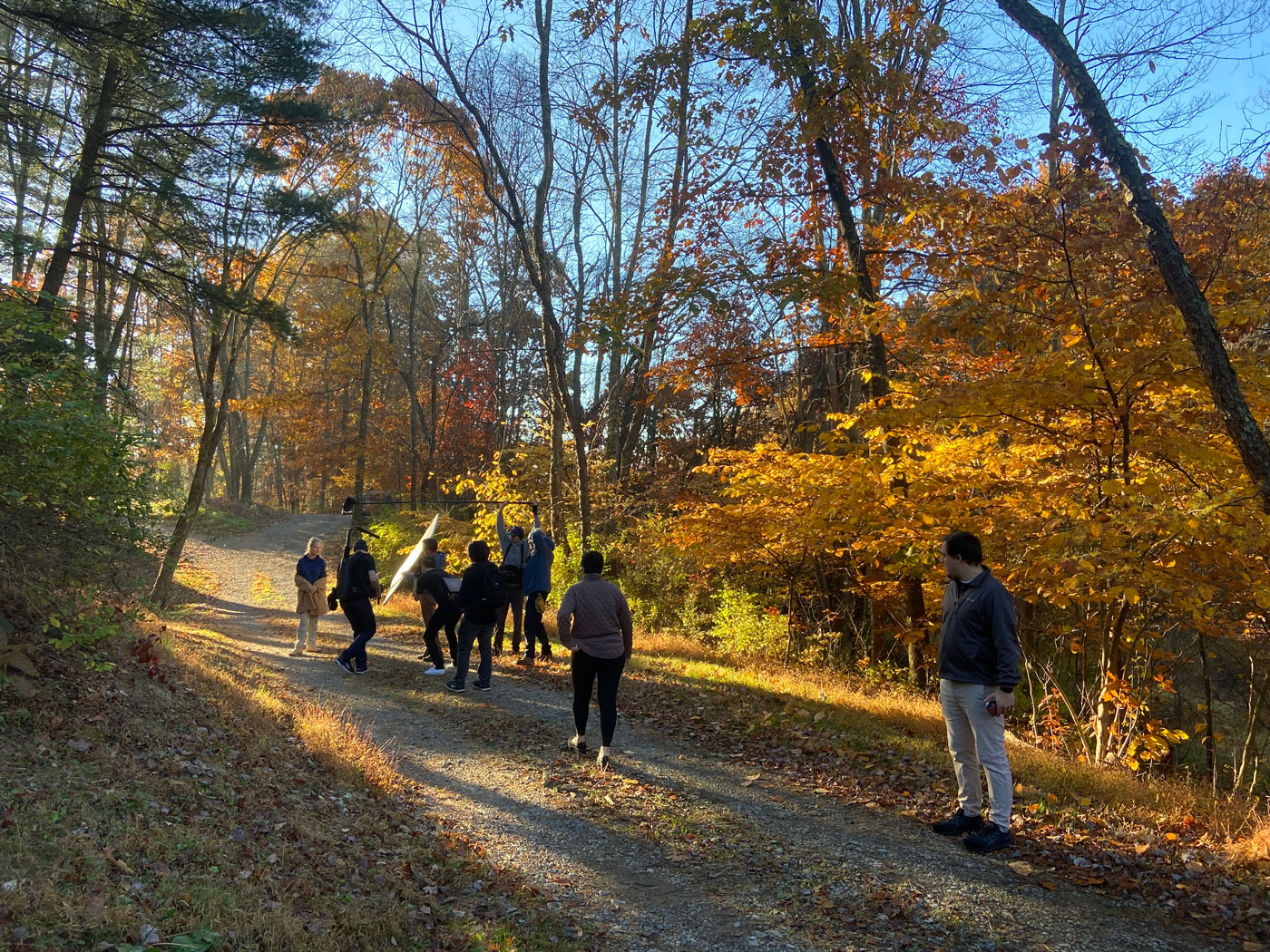 people walking in the woods